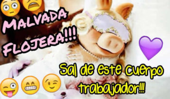 trabajador frases