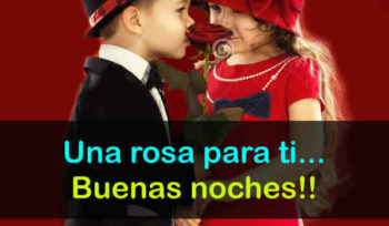 buena noches frases
