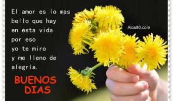 hola frases