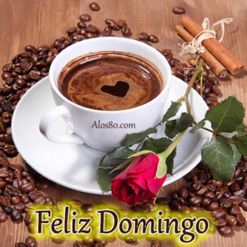 fotos domingo