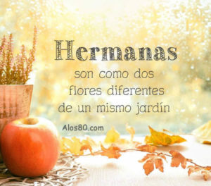 flores imagenes