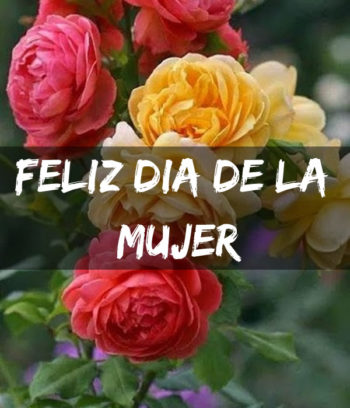 dia de la mujer