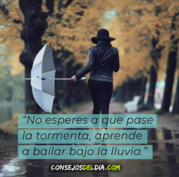 lluvia frases