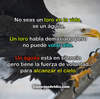 voluntad frases