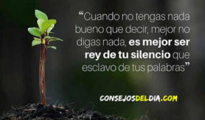 rey frases