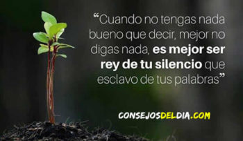 rey frases