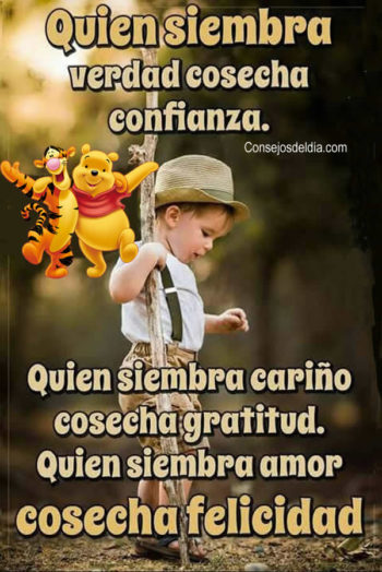cosechar frases