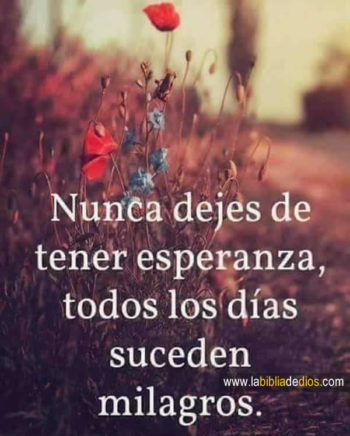 frases esperanza