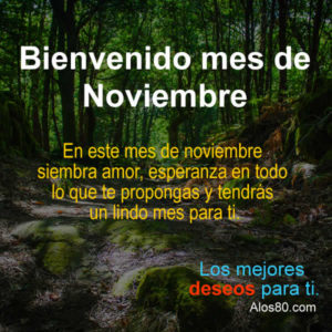 mes de noviembre