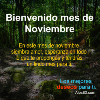 mes de noviembre