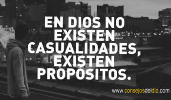 propositos frases