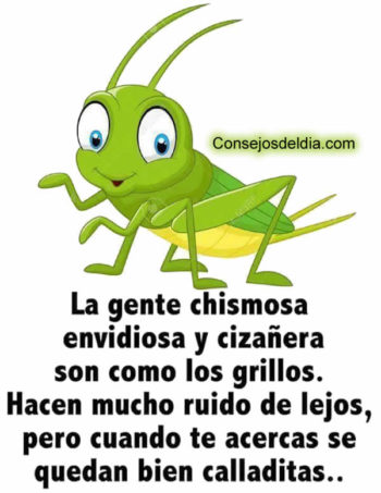 lejos frases