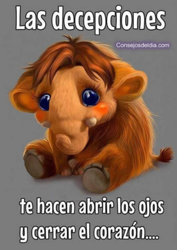 decepcion frases