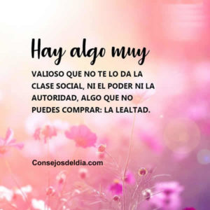 frases lealtad