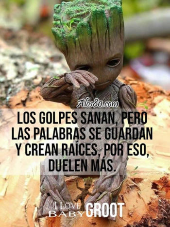 bebe frases