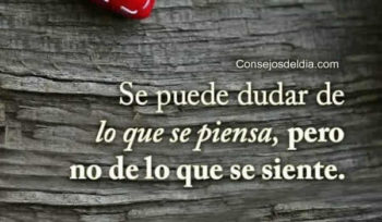 dudar frases