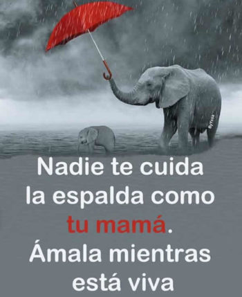 madre