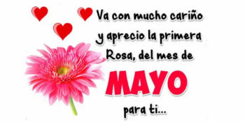 frases de mayo