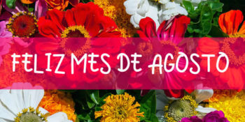 bienvenido agosto