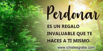 perdonar 2019