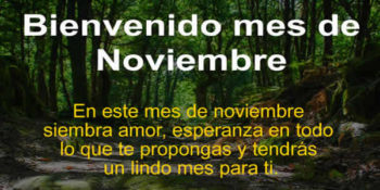 noviembre frases