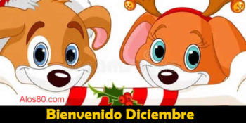 bienvenido diciembre
