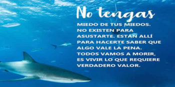 miedo frases