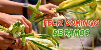 domingo de ramos