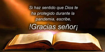 gracias señor