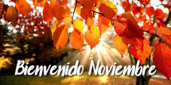 frases noviembre