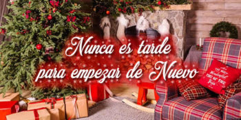 empezar de nuevo frases