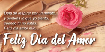 dia del amor frases