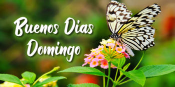 domingo frases