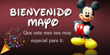 mayo frases