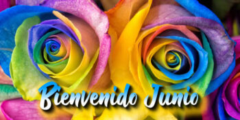 bienvenido junio