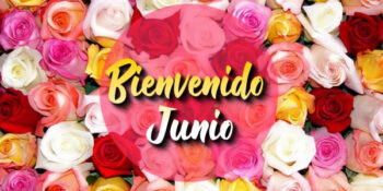 frases junio