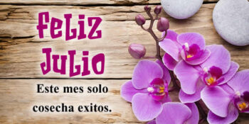 frases de julio