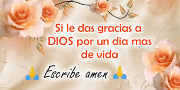 frases feliz domingo