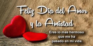 dia del amor frases bonitas