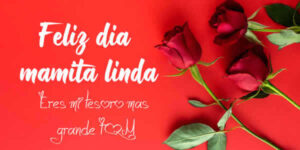 rosas para el dia de la madre